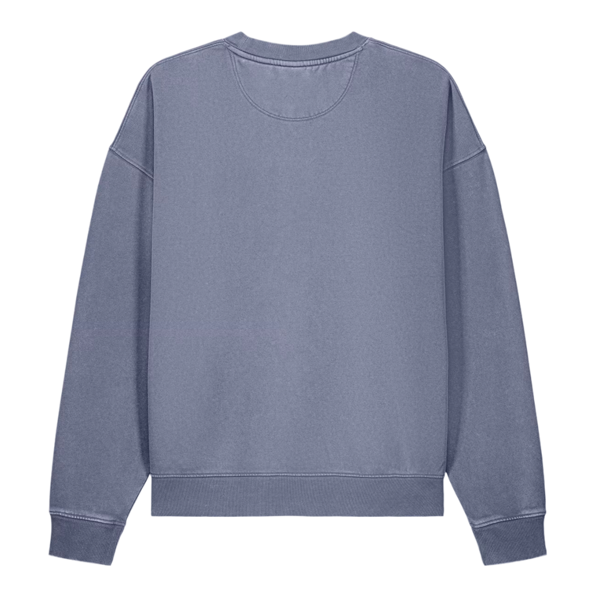 Washed Sweatshirt — Blue back